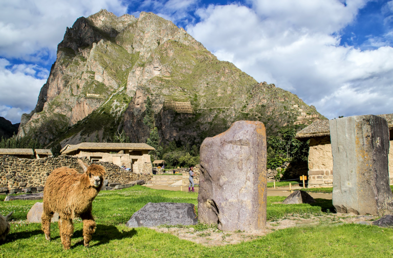 valle sagrado de los incas vista, paisaje natural con fauna local